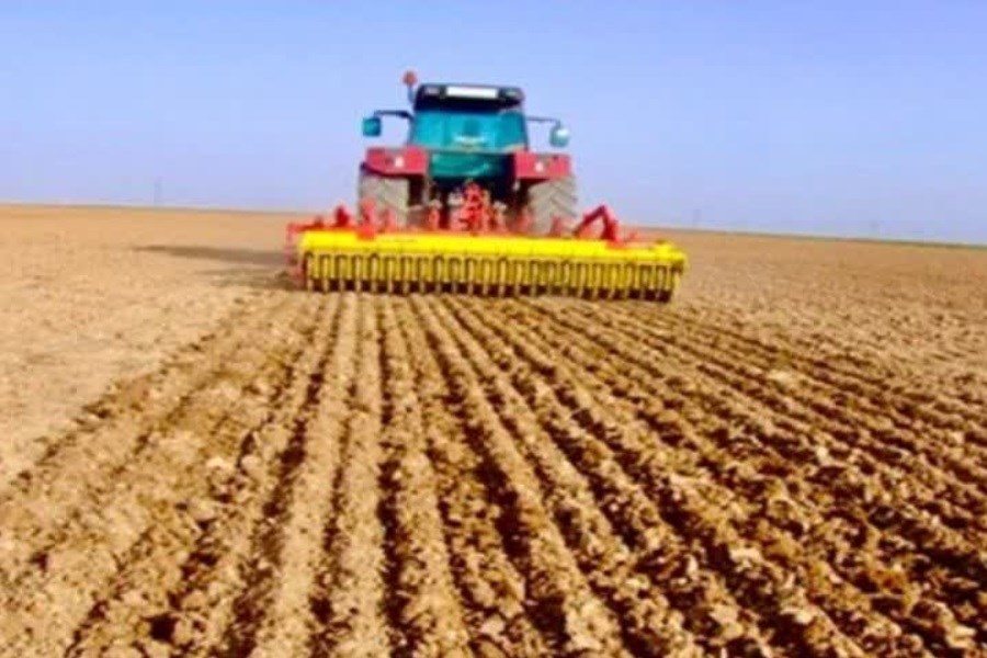 کشت شتوی در ارسنجان آغاز شد