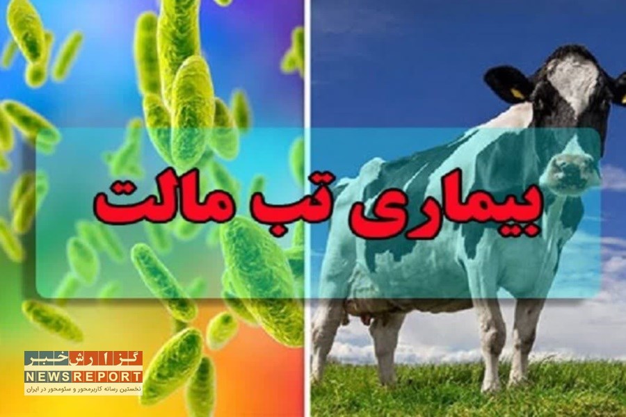 دوره آموزشی بیماری تب مالت جهت اعتلای سطح علمی کارشناسان شبکه بهداشت و درمان بافق برگزار شد