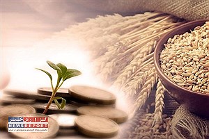 ۲۴۰۰ میلیارد تومان زکات در هشت ماهه 1403 جمع آوری شد