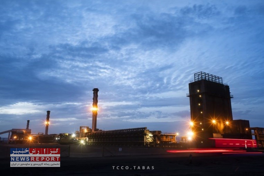 کک طبس در مسیر خودکفایی و کاهش واردات