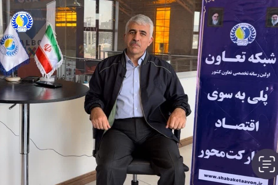 هشدار مدیرعامل پاکرخ به دولت: ثبات انرژی و نرخ ارز واقعی، شرط بقای صنعت