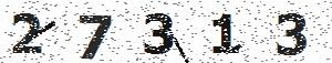 تصویر امنیتی