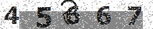 تصویر امنیتی