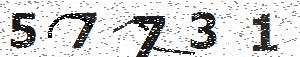 تصویر امنیتی