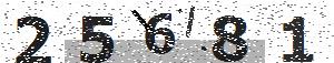 تصویر امنیتی