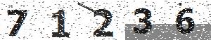 تصویر امنیتی
