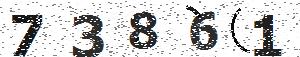 تصویر امنیتی
